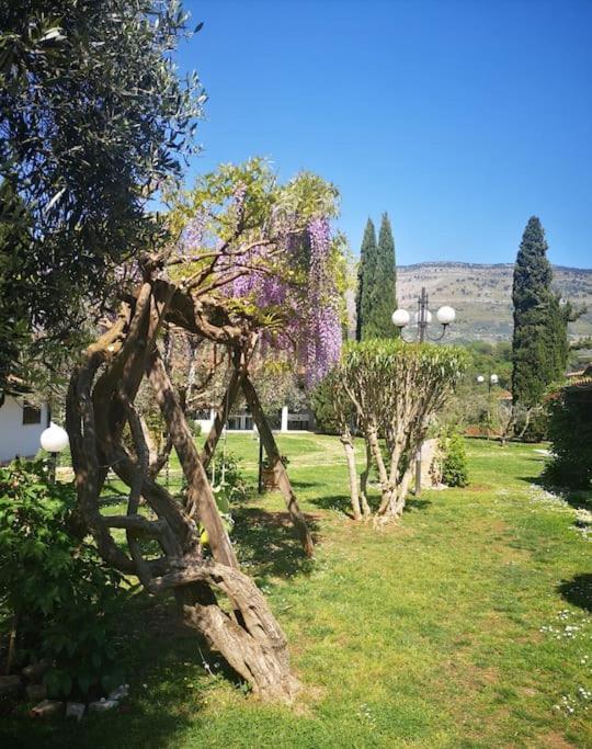 Villetta Blue Garden Sonnino 외부 사진
