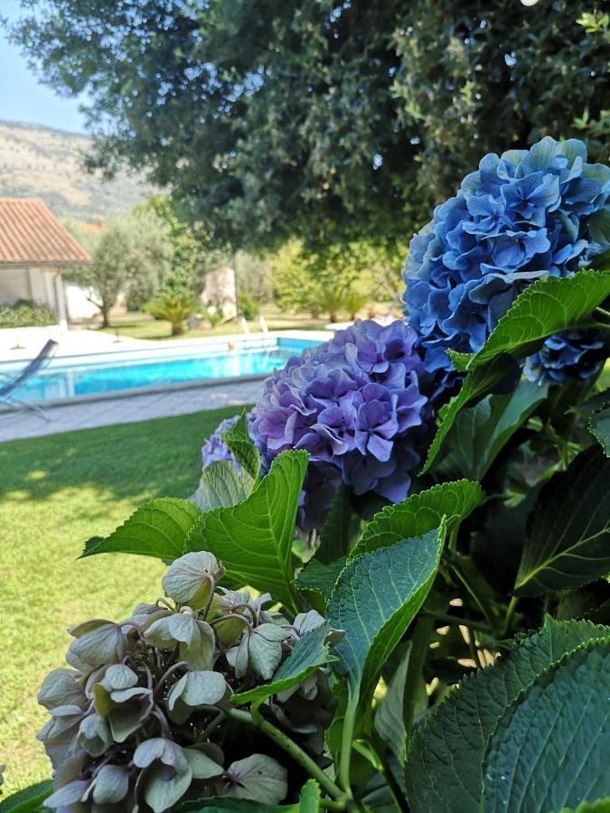 Villetta Blue Garden Sonnino 외부 사진