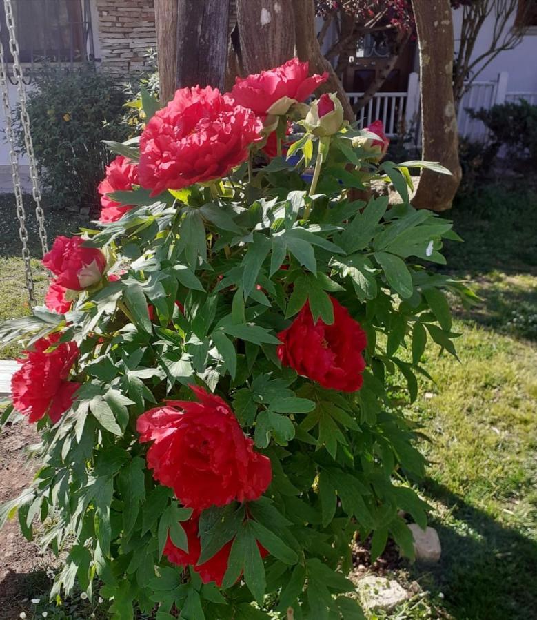 Villetta Blue Garden Sonnino 외부 사진