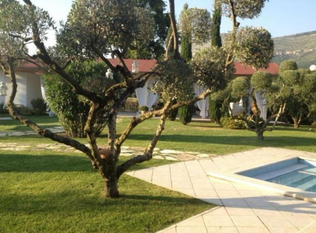 Villetta Blue Garden Sonnino 외부 사진